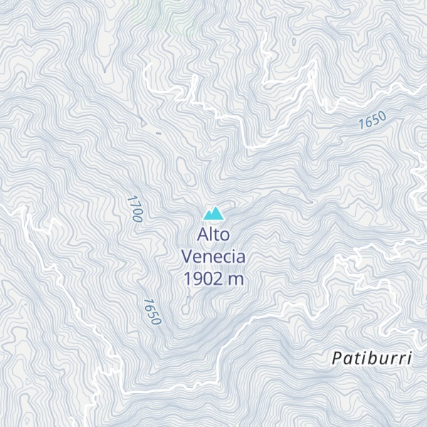 Map of Alto Venecia