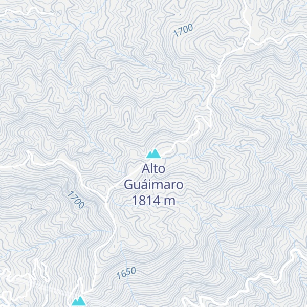 Map of Alto Guáimaro