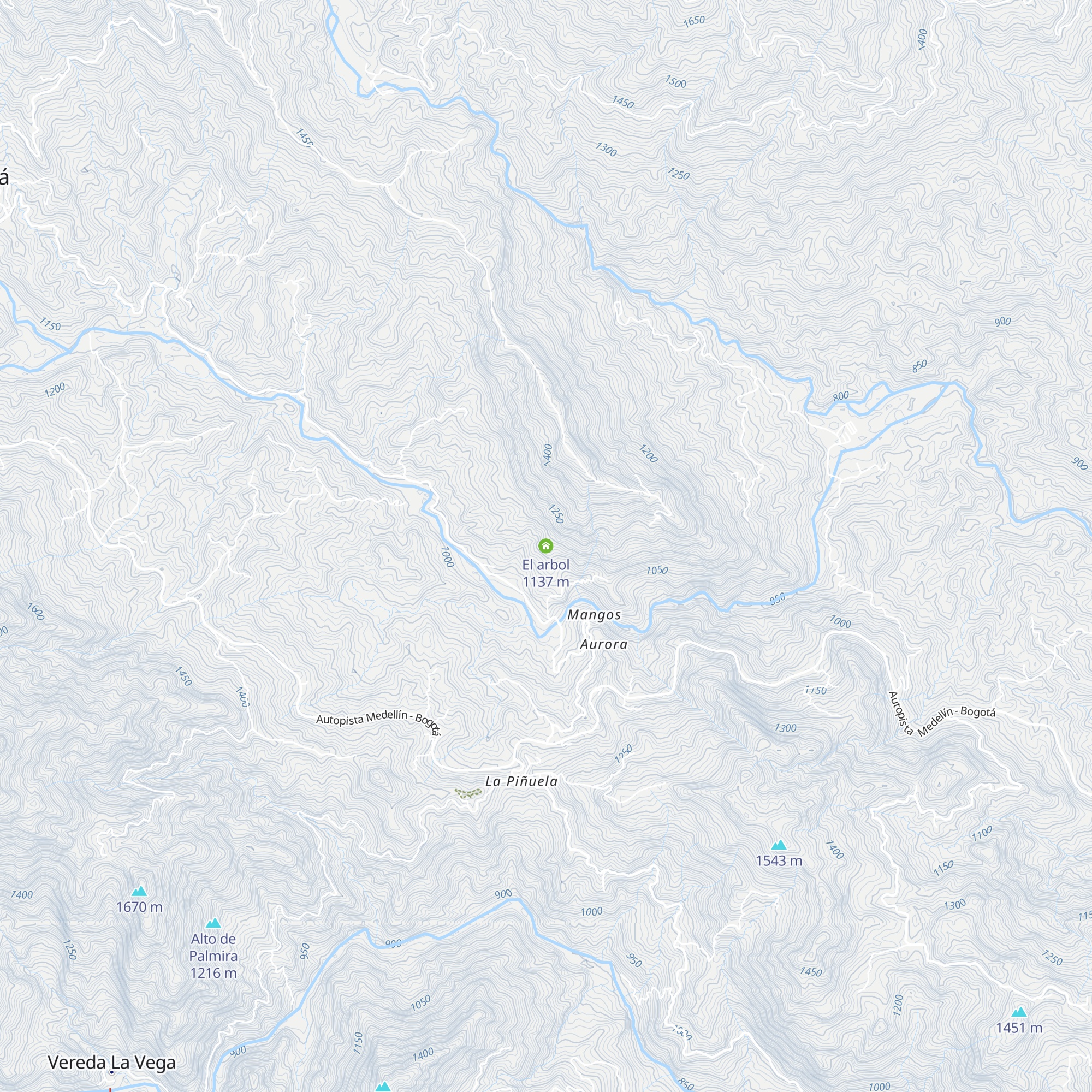 El arbol map