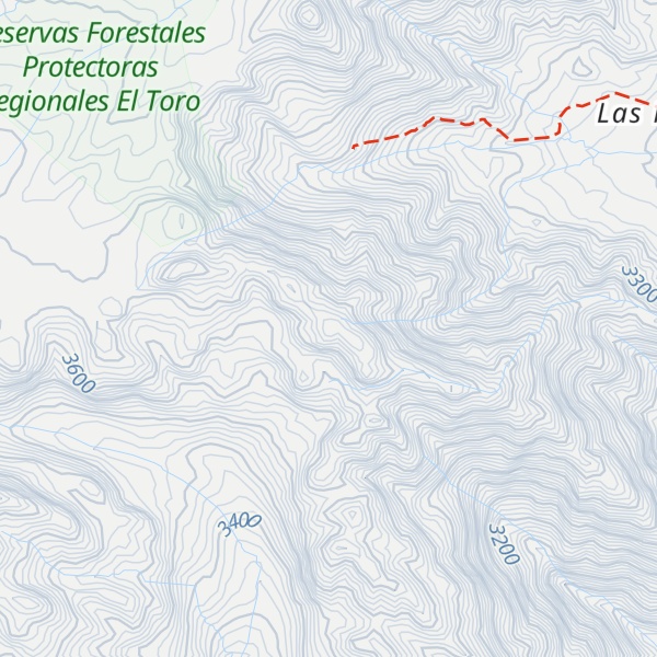 Map of Alto Pico Del Loro