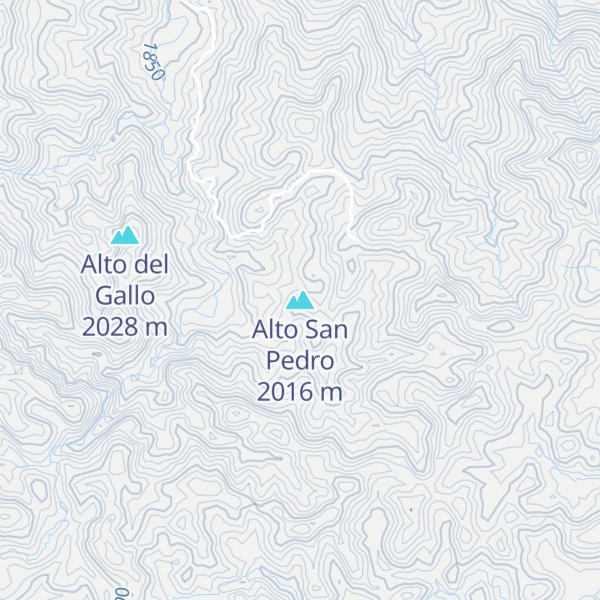 Map of Alto San Pedro