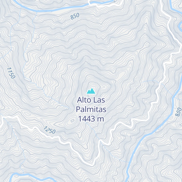 Map of Alto Las Palmitas