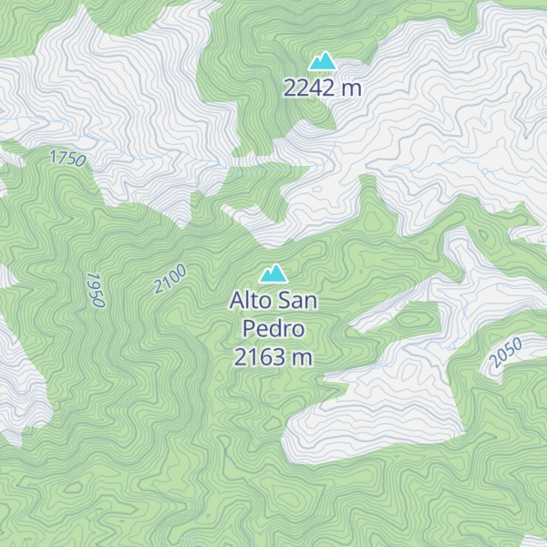 Map of Alto San Pedro