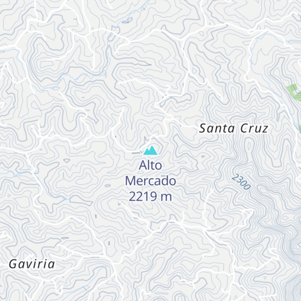 Map of Alto Mercado