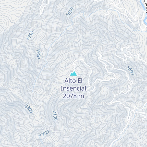 Map of Alto El Insencial