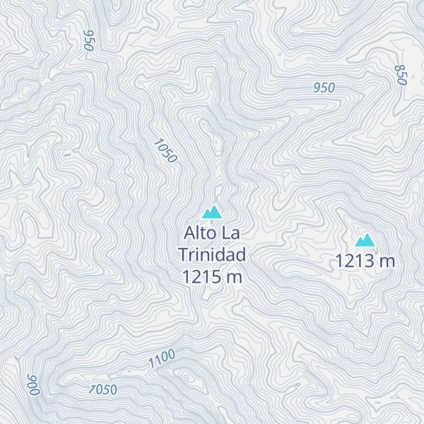 Map of Alto La Trinidad