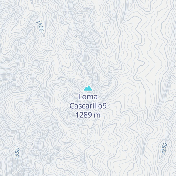 Map of Loma Cascarillo9