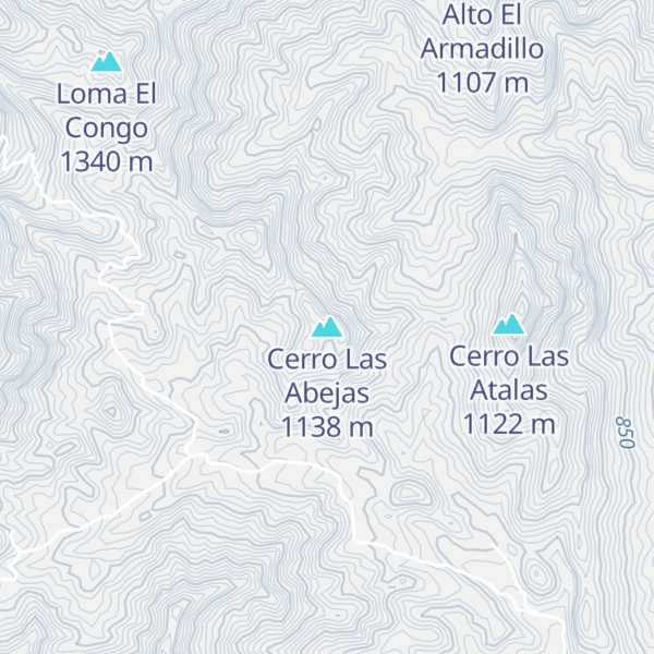Map of Cerro Las Abejas