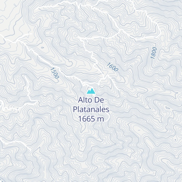 Map of Alto De Platanales