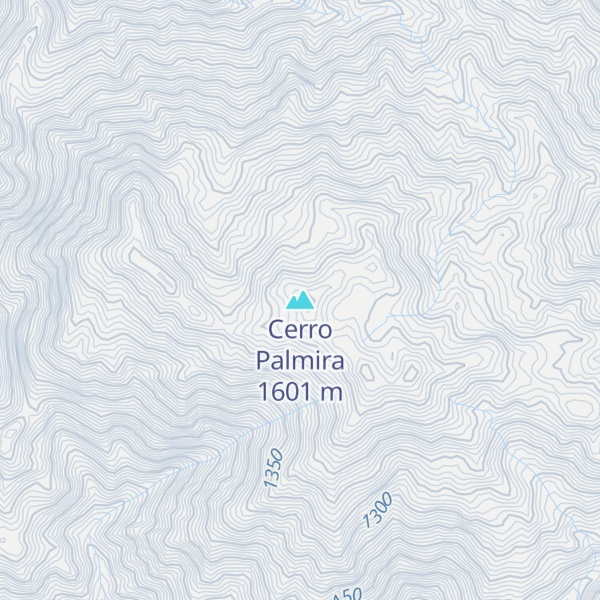 Map of Cerro Palmira