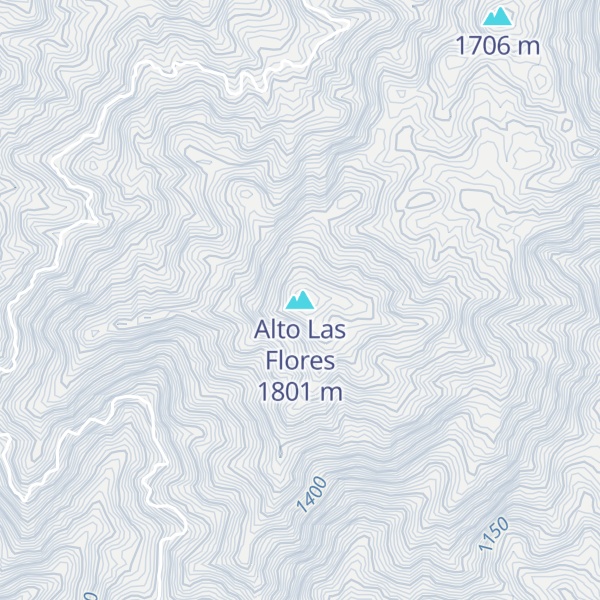 Map of Alto Las Flores