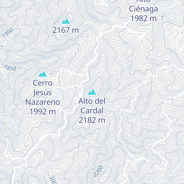 Map of Alto del Cardal