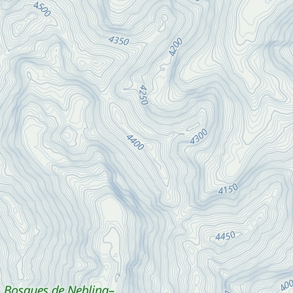 Map of Cerro Pugitarío
