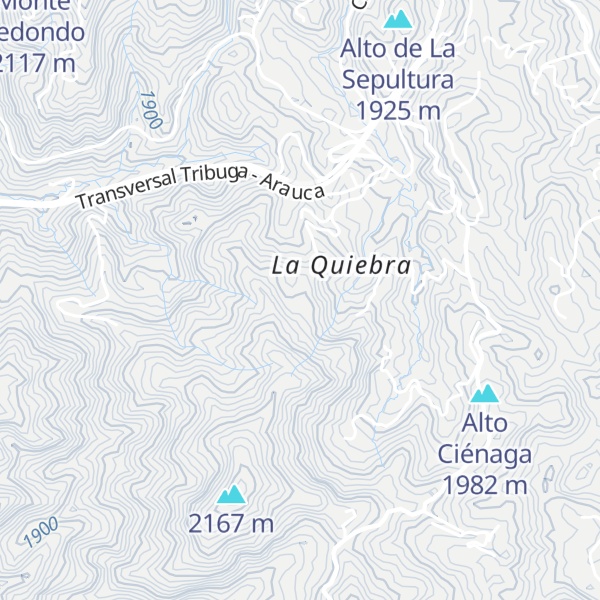 Map of Alto Guacamayal