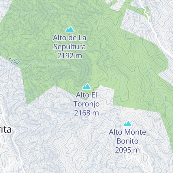 Map of Alto El Toronjo