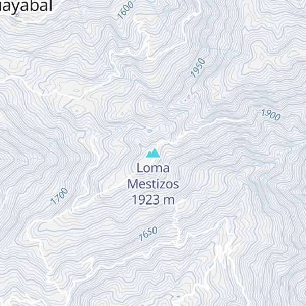 Map of Loma Mestizos