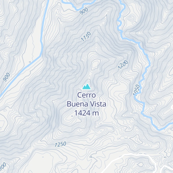 Map of Cerro Buena Vista