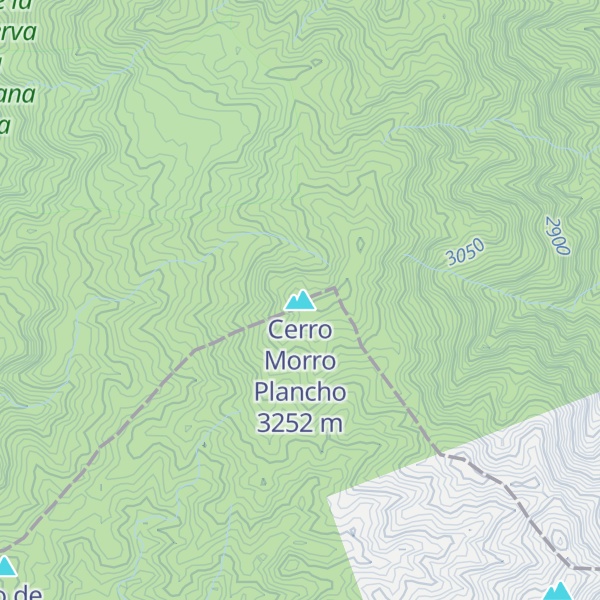 Map of Cerro Morro Plancho