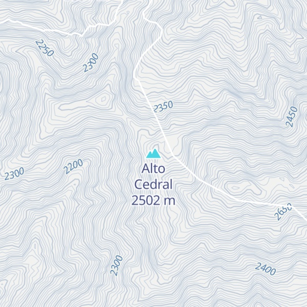 Map of Alto Cedral