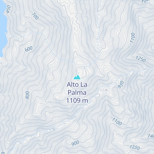 Map of Alto La Palma