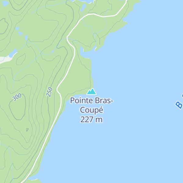 Map of Pointe Bras-Coupé