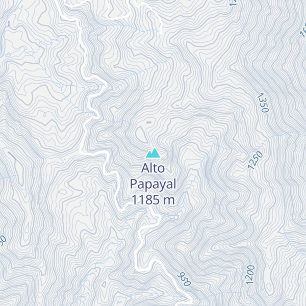 Map of Alto Papayal