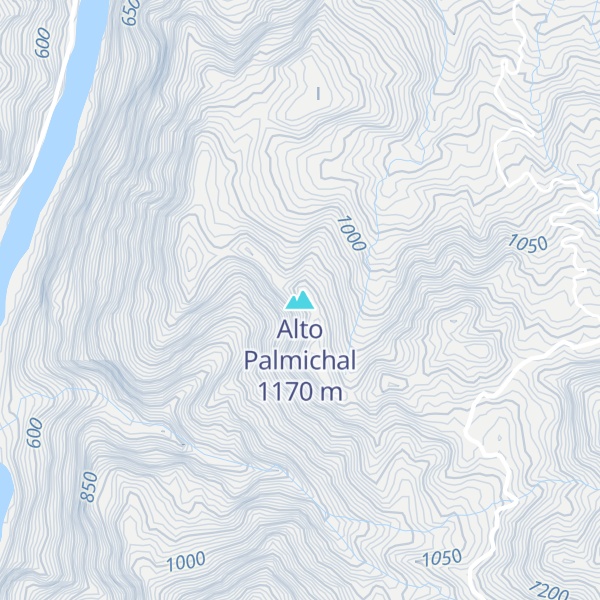 Map of Alto Palmichal