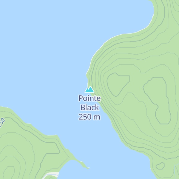 Map of Pointe Black