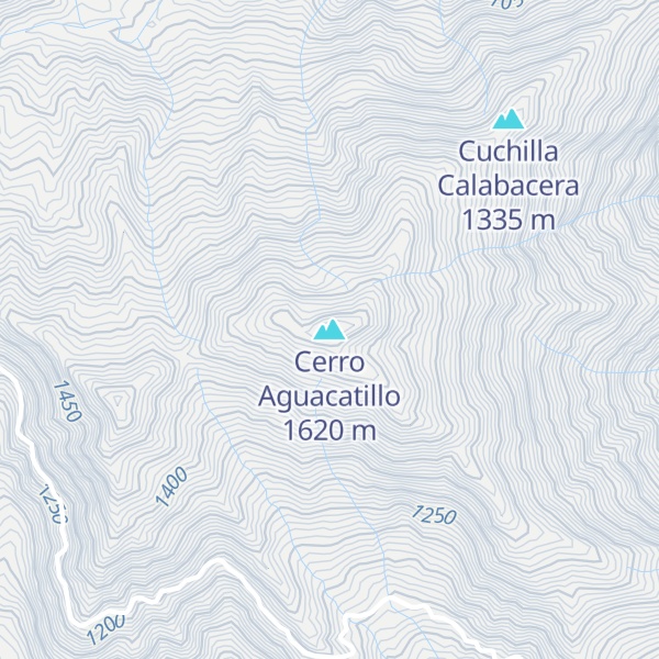 Map of Cerro Aguacatillo