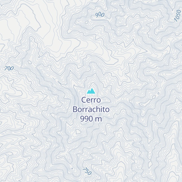 Map of Cerro Borrachito