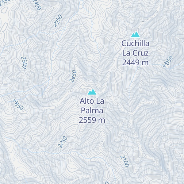Map of Alto La Palma