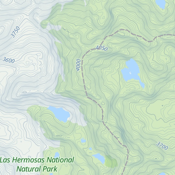 Map of Punta
