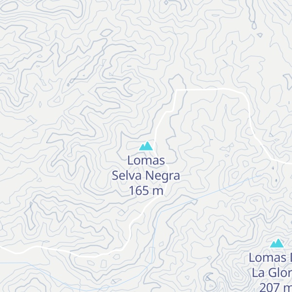 Map of Lomas Selva Negra