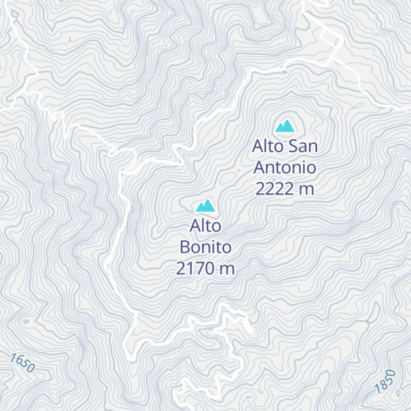 Map of Alto Bonito