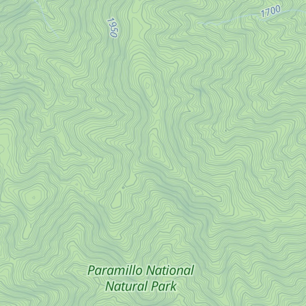 Map of P.