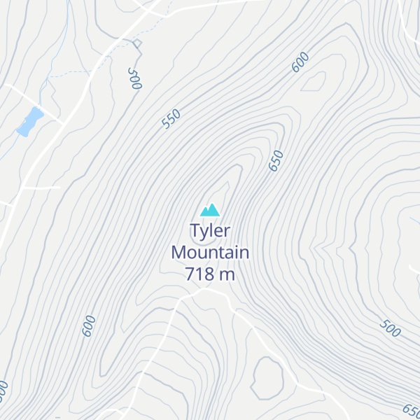 Map of Tyler Mountain