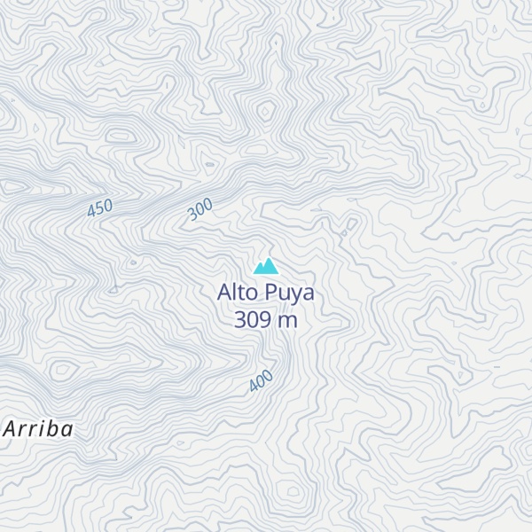 Map of Alto Puya