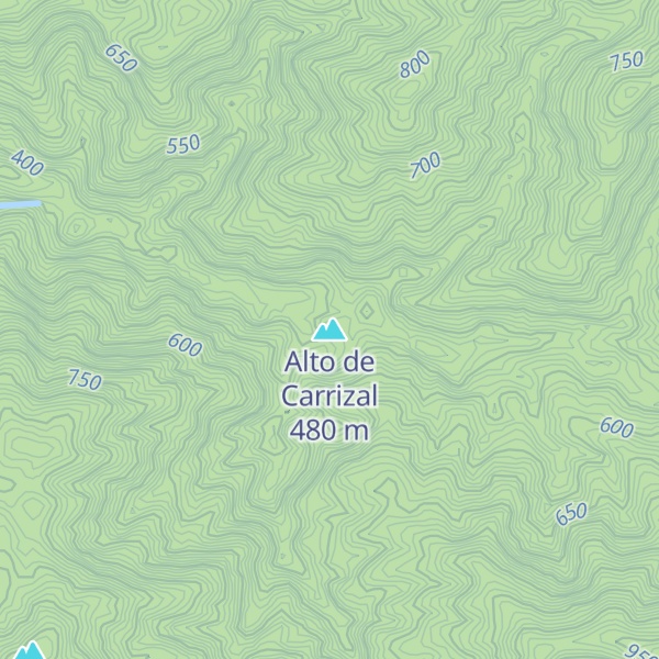 Map of Alto de Carrizal