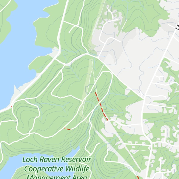 Map of Tom's Hill