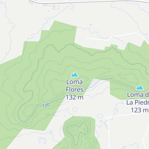 Map of Loma Flores