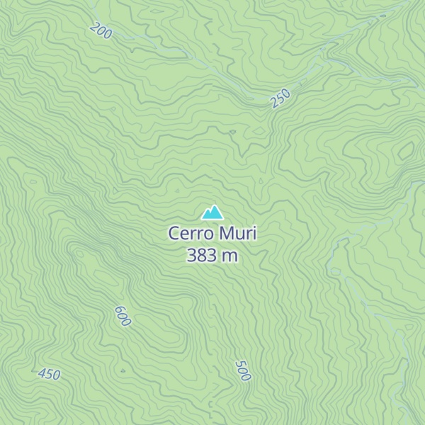 Map of Cerro Muri