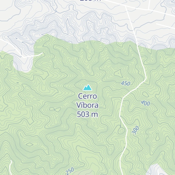 Map of Cerro Víbora