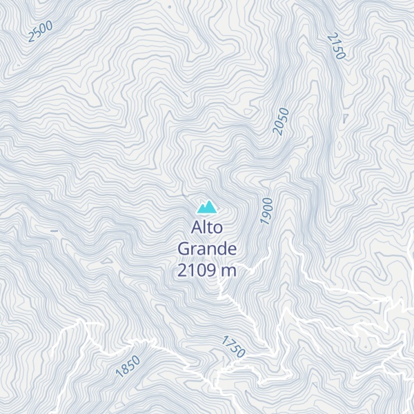 Map of Alto Grande