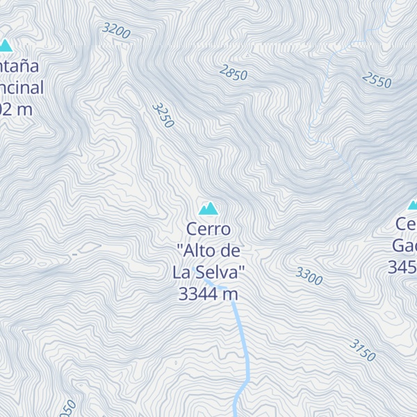Map of Cerro "Alto de La Selva"