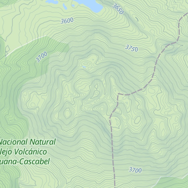 Map of Cerro Animas