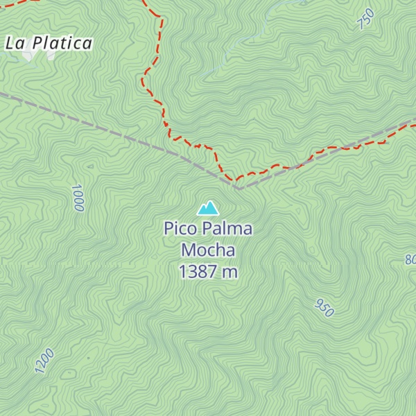 Map of Pico Palma Mocha