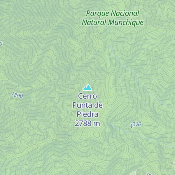 Map of Cerro Punta de Piedra
