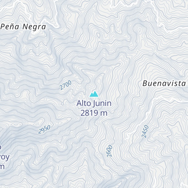 Map of Alto Junin