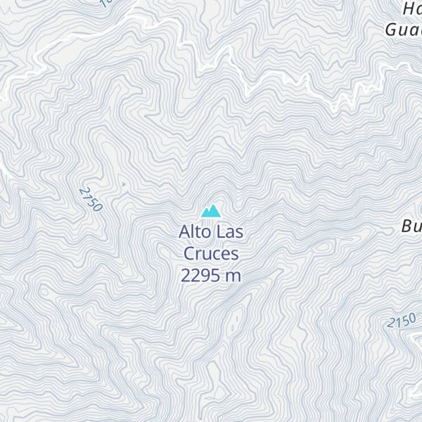Map of Alto Las Cruces
