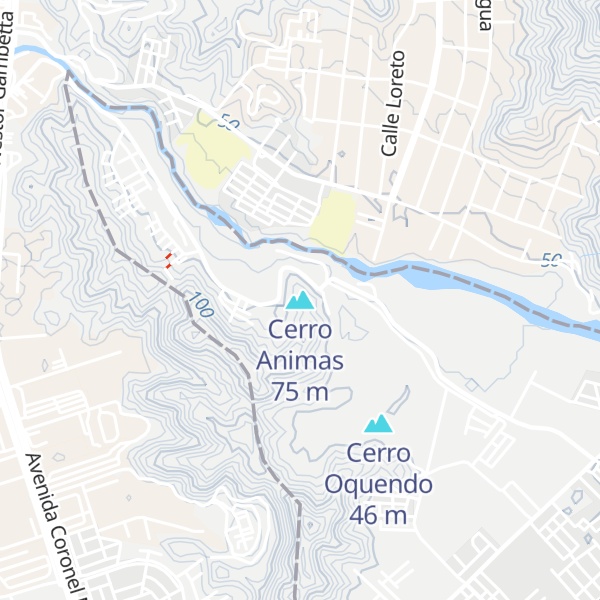 Map of Cerro Animas